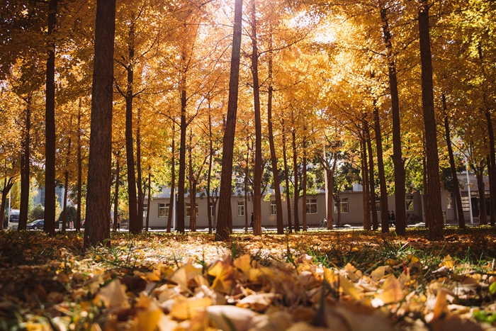 QQ图片20181108145840_副本.jpg QQ图片20181108145840_副本.jpg