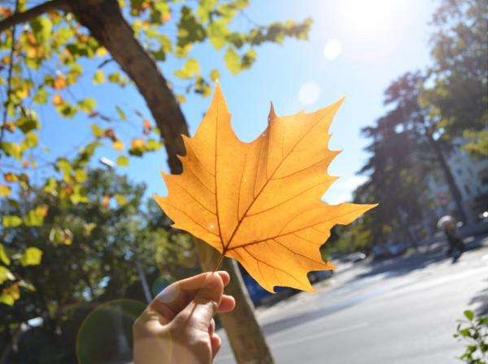 QQ图片20181108145857_副本.jpg QQ图片20181108145857_副本.jpg