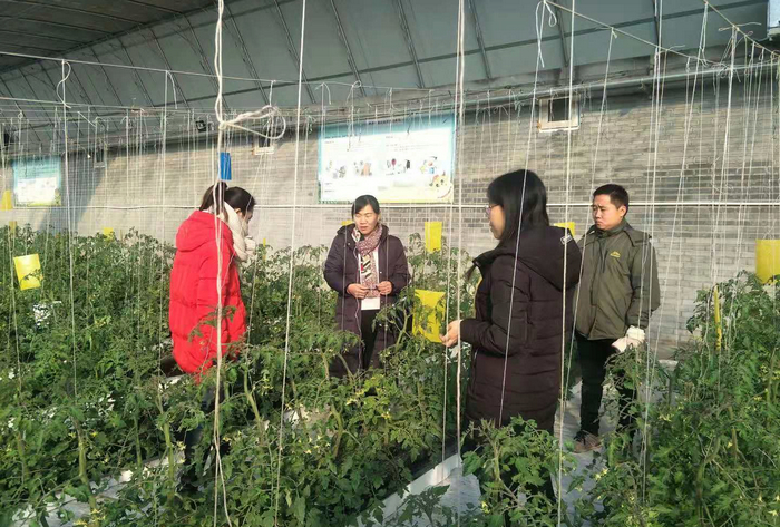 太行驿站巡礼“聚宝盆”栽出“生财树”