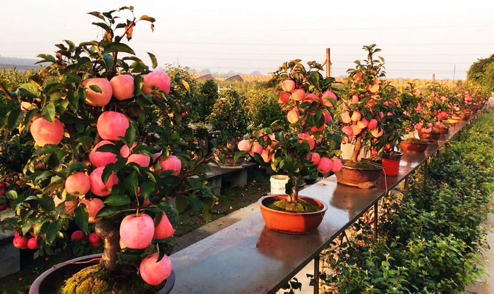 太行驿站巡礼“聚宝盆”栽出“生财树”