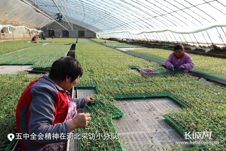 长城网专题报道我校太行山农业创新驿站