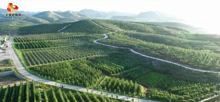 【“他们奔走太行”系列报道①】“苹果教授”孙建设:农业驿站看护人