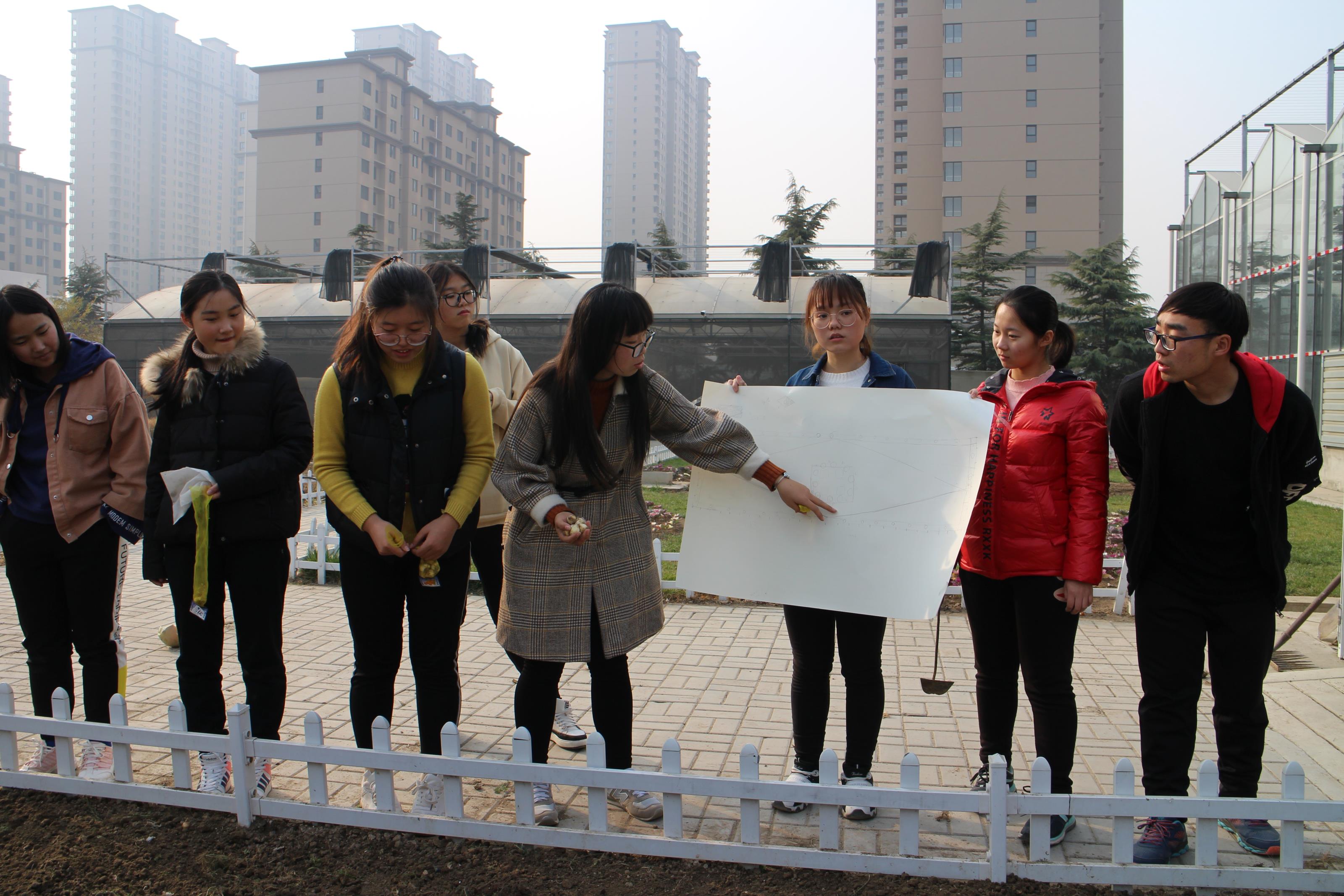 我们的花园——球根花卉播种.JPG 我们的花园——球根花卉播种.JPG