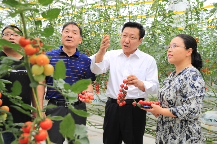 微信图片_20191119085857_编辑.jpg 微信图片_20191119085857_编辑.jpg