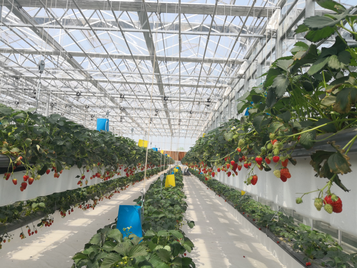 微信图片_20191119090922_编辑_编辑.jpg 微信图片_20191119090922_编辑_编辑.jpg