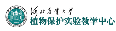 植物保护实验教学中心
